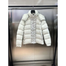 Louis Vuitton Down Jackets